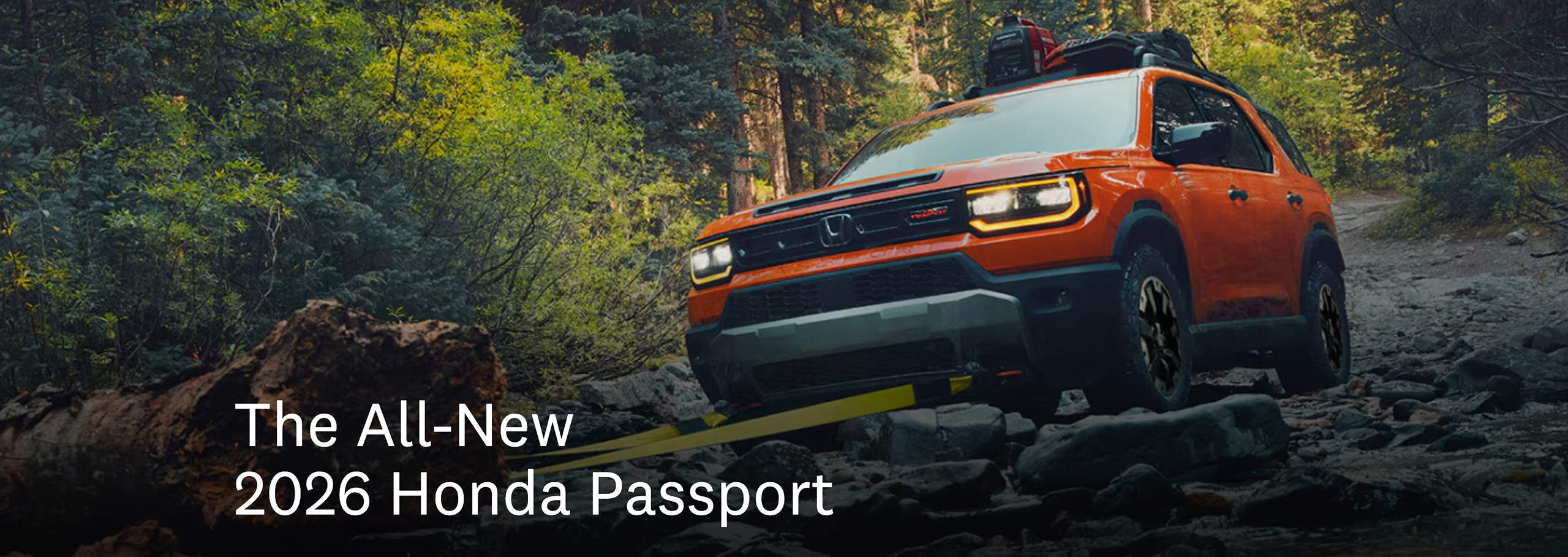 new-passport slider_widget-1-4