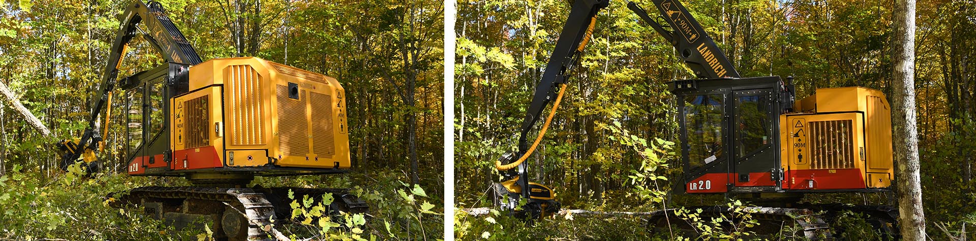 Landrichslides_0003_Rectangle 1 copy Landrich in the Fall