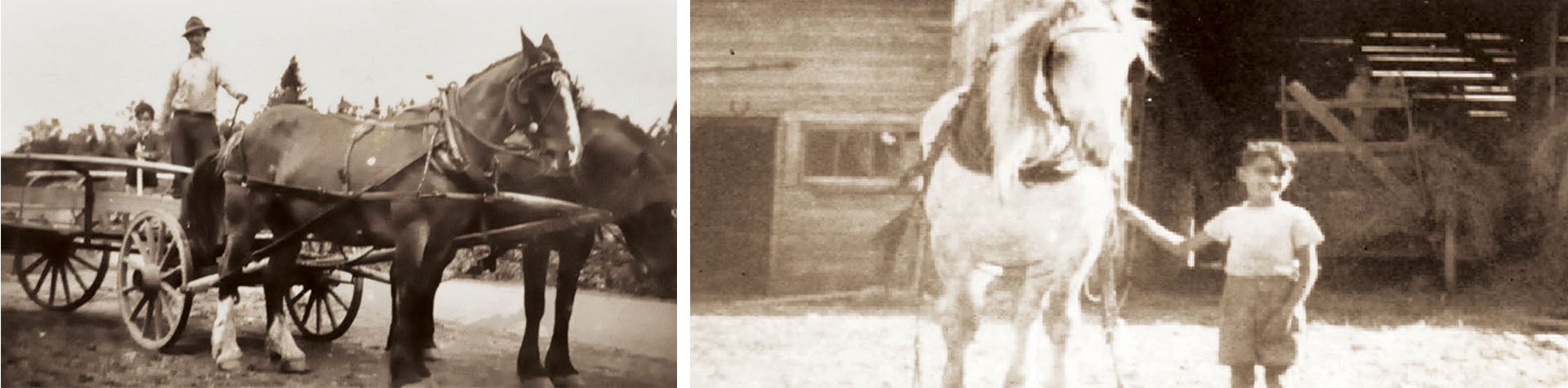 alpa_history_0001_Rectangle 1 copy 13 slider_widget-20-13