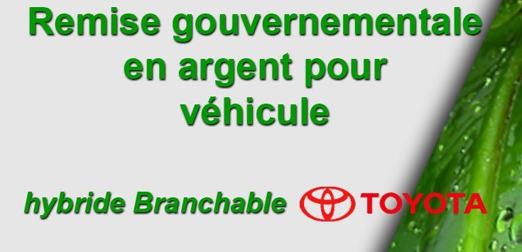 Remise-en-argent-pour-hybride-Toyota.jpg