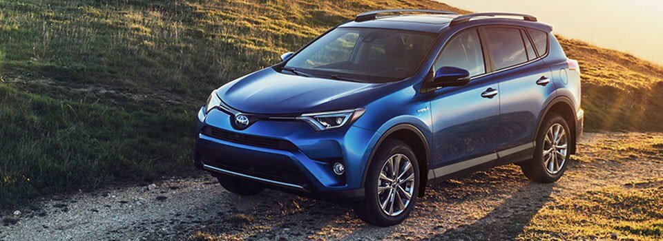 Rav4_title_img.jpg