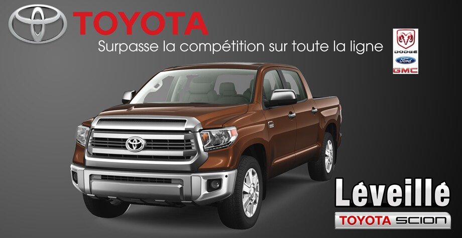 tundra-le-meilleur.jpg