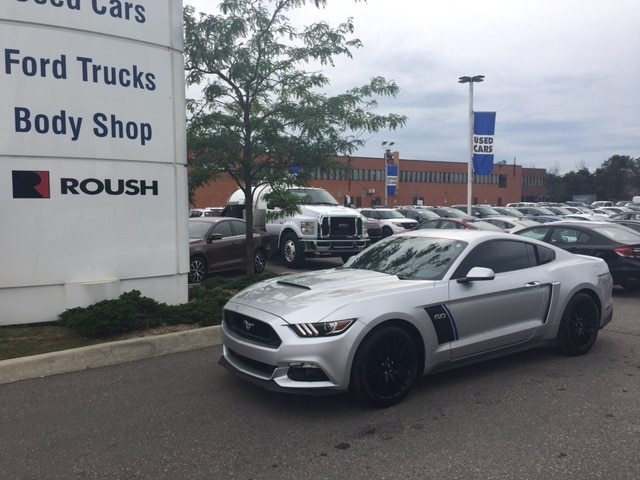 MUSTANG-AUG2017-1.JPG